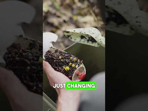 The ultimate carp baits to use this Autumn! 🪱🐋🍂