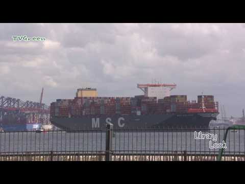 LibraryLook: Biggest Containership of 2019 - MSC  Gulsun