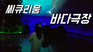 preview picture of video '씨큐리움 바다극장, 해양박물관 충남 서천 여행'