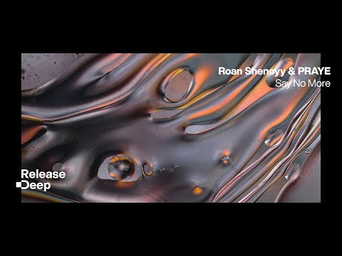 Roan Shenoyy & PRAYE - Say No More