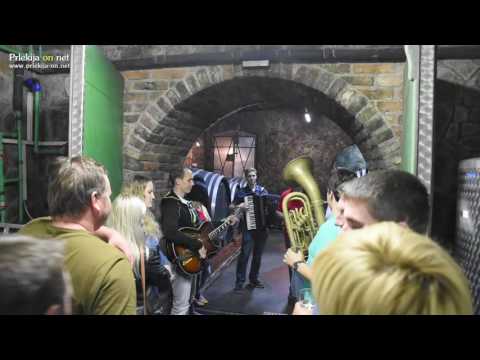 Ansambel Saša Avsenika v Prlekiji