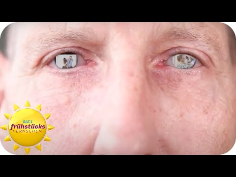 Gewalt gegen Männer - über 35.000 Männer sind Opfer häuslicher Gewalt | SAT.1 Frühstücksfernsehen