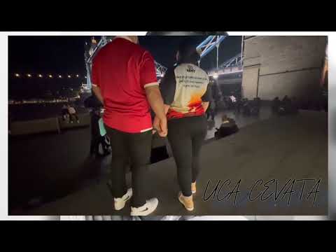 UCA CEVATA- BIGWILZ & SASSY