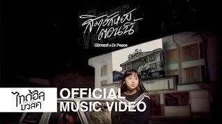 สิมาฮักหยังตอนนี้ มิมิ ทอยส์ feat. Dr. Peace