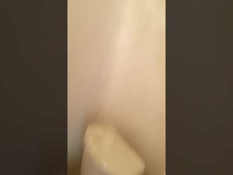 454 E 81st St - Video 6 of 6