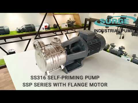 SS 316 Self Priming Pump