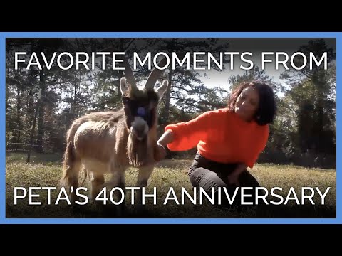 Our Favorite Moments From PETA’s 40th Anniversary Party