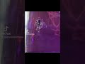 Honey Is My Biggest Goofball Spiderweb Spidersoftheworld Jumpingspider Nature Spiderlife