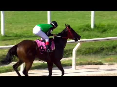 220116 c03 SISSY THAT WALK