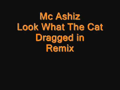 Mc Ashiz Look what the cat dragged in (Remix)