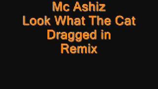 Mc Ashiz Look what the cat dragged in (Remix)