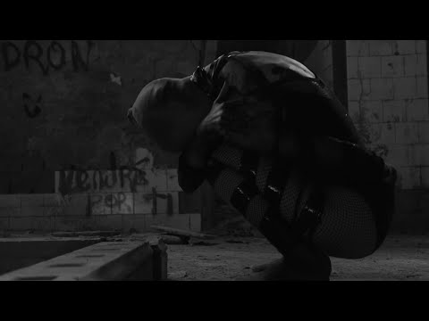 The Irrepressibles - In This Shirt (Summit Emotional Schranz Edit) Visualizer