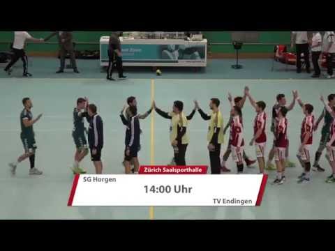 Saison 2016/17: SG Horgen - TV Endingen 24:33 (12:12) - 20.11.2016