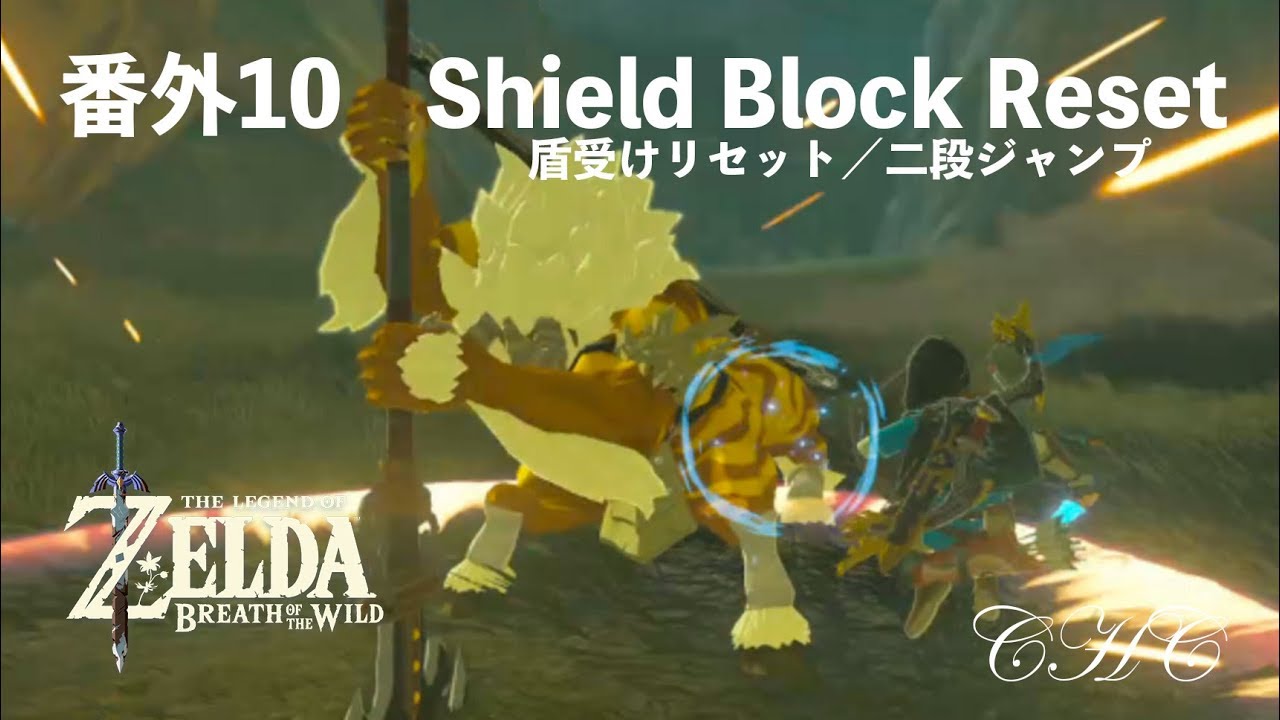 番外10 -「盾擋重置(Shield Block Reset／盾受けリセット)」