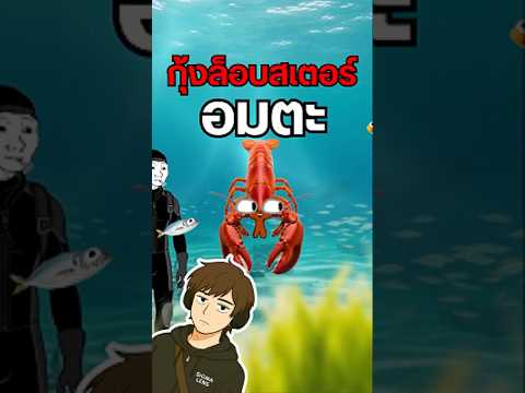 กุ้งล็อบสเตอร์อาจเป็นอมตะ!? 🦞 #ล็อบสเตอร์ #สัตว์โลก #ความรู้รอบตัว #เรื่องน่ารู้ #วิทยาศาสตร์