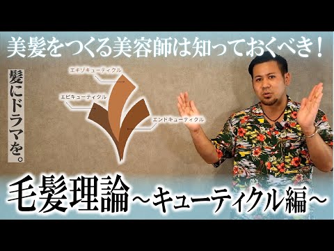 トリコグラムマチ科 - 定義