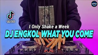 Download lagu DJ ENGKOL WHAT YOU CAME X TEKI GAN PARGOY TIKTOK V... mp3