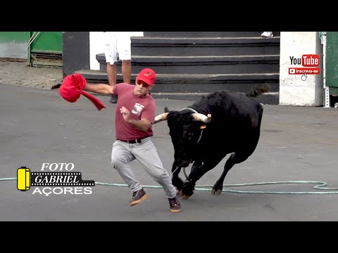 Tourada - Porto Martins 23- 09 -2025 Ganadeiro - C.A.J.A.F.