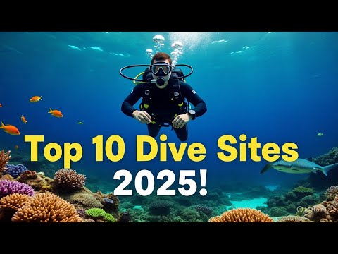 Explore the Wonders of the Deep Top 10 Scuba Diving Destinations