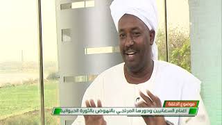 سبت اخضر تقنيات جديدة في الانتاج ( الغنم السعانيين)