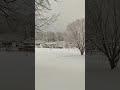 Nature Snow Winter White