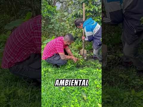 📢 ATENCIÓN COMUNIDAD RURAL DE ALVARADO 🌱🐄