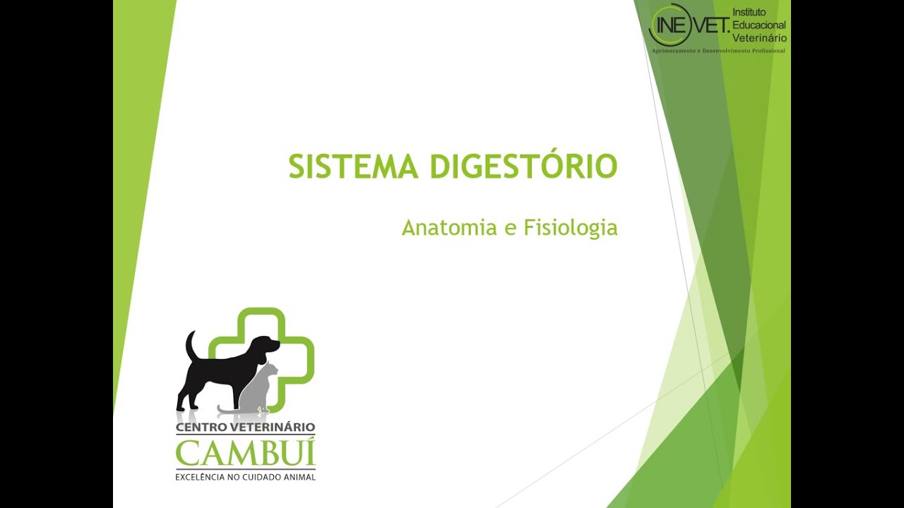 Auxiliar Veterinário - Sistema Digestório