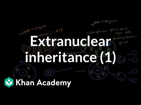 Inheritance Pdf Indonesia