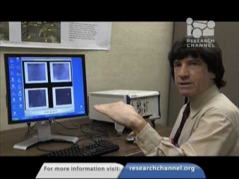 Immersive Digital Audio