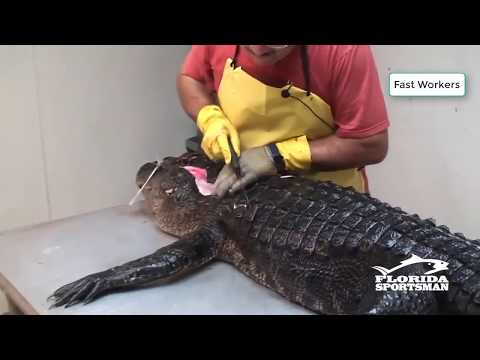 FAST WORKERS Compilation - God Level