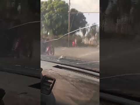 Recorriendo Boraure municipio La Trinidad del Estado  Yaracuy Venezuela 🇻🇪. 