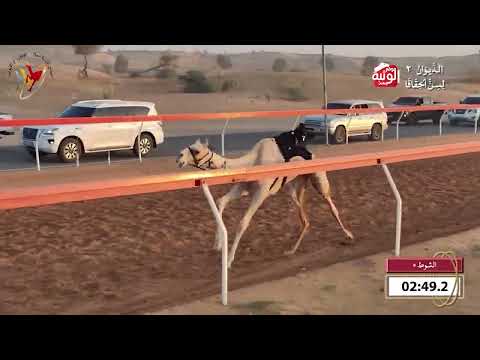  ش 5 (تراحيب) لـ محمود سالم راشد الوهيبي 4:38 , شارة الديوان 2 2026/09/25 حقايق اللبسه  