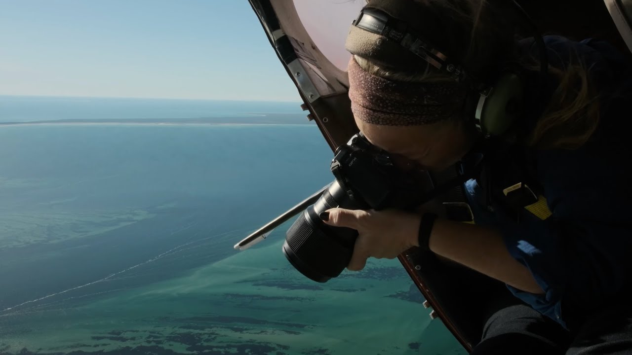 Fujifilm GFX 100S II