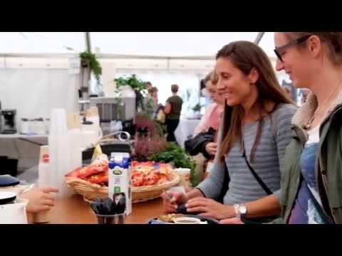 Fanø Strikkefestival 2015