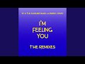 I'm Feeling You (Ralphi Rosario Dub Mix)