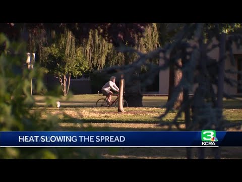 天氣如何影響COVID-19的傳播？ (How weather can impact the spread of COVID-19)