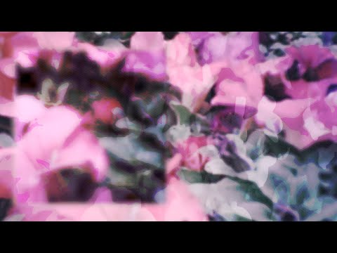 Video thumbnail for Future Lover