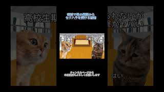部活で男の顧問からセクハラを受ける恐怖　 #catmemes #猫マニ #猫ミーム