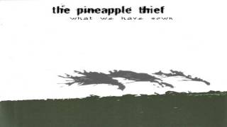 The Pineapple Thief - All You Need To Know