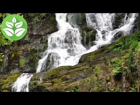 Stormy mountain river. The noise of a waterfall in the forest.(White noise for sleep and meditation)