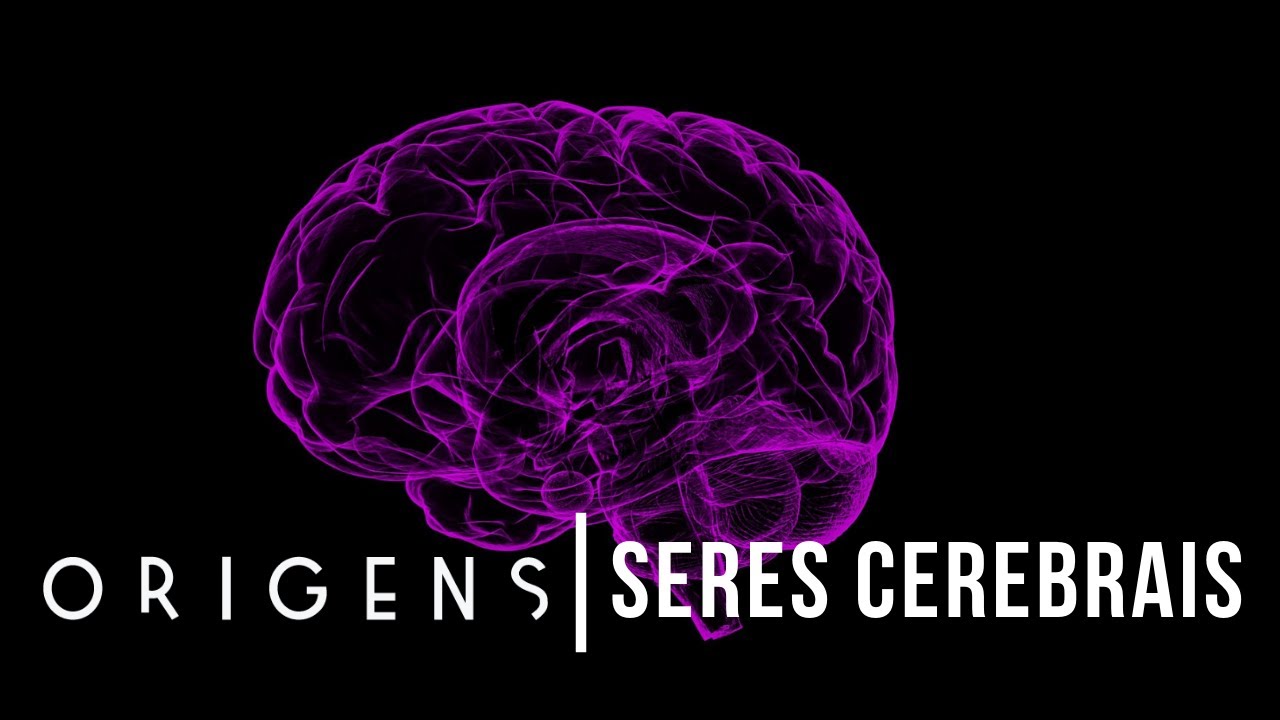 Seres cerebrais? | Eis o homem #21