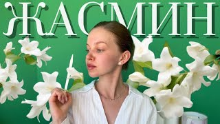 ЖАСМИН В ПАРФЮМЕРИИ | цветок который влюбляет #парфюмерия #жасмин