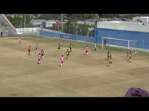 Sul América 4x1 Clipper