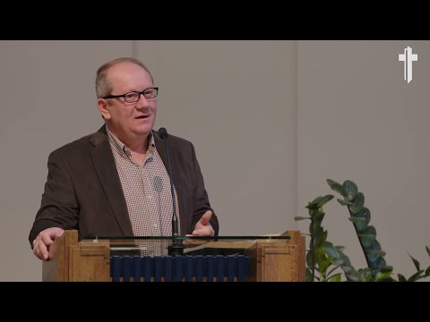 Adi Țunea - Viața prin dărâmături