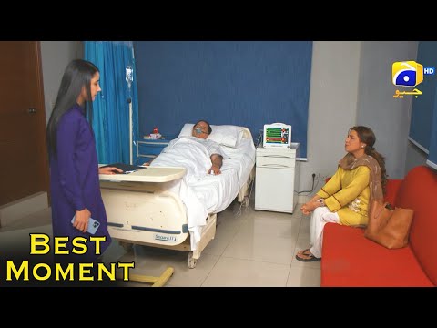 Grift Episode 81 || Ali Abbas - Saniya Shamshad || 𝐁𝐞𝐬𝐭 𝐌𝐨𝐦𝐞𝐧𝐭 𝟎𝟐 || Har Pal Geo