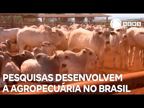 Pesquisas auxiliam no desenvolvimento da agropecuária no Brasil