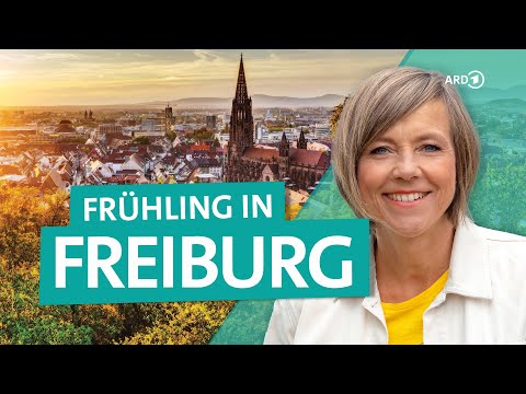 Freiburg - How to make a city trip to Baden-Württemberg worthwhile | ARD Reisen