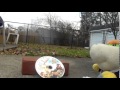 Bowser Destroys Toy Story DVD