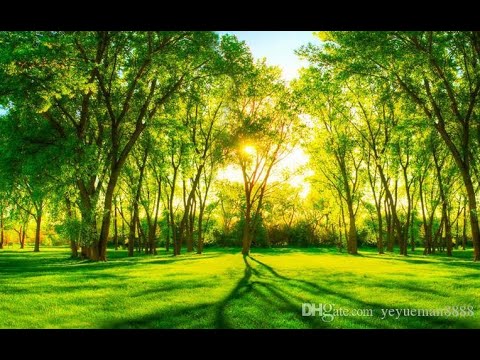 Lutje e fuqishme, që ju ndihmon në zgjidhjen e të gjitha problemeve,  vështirësive dhe brengave