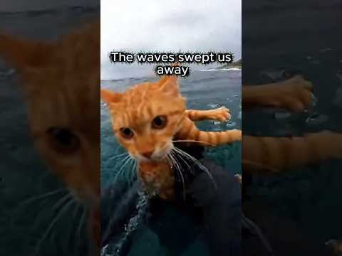 She threw them away like trash… so I gave them a home.